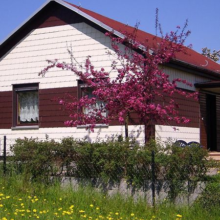 Waldblick Villa Waltershausen Eksteriør bilde